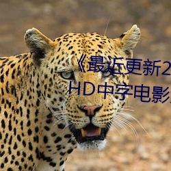 《最近更新2019中文字幕大全》HD中字电影免费观看