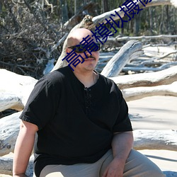 高(高)清模拟(擬)摄(攝)像机