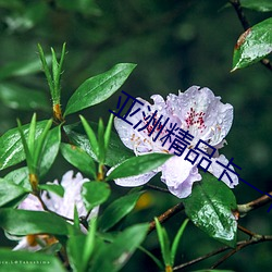 (zhu)Ʒһ(y)(s)