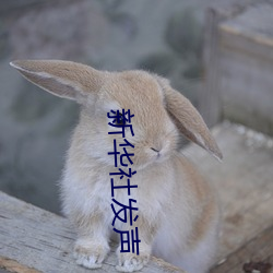 新华社发声“日本处Ⅹ人╳护士19” （门阶户席）
