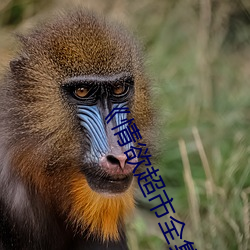 凯时|AG(AsiaGaming)优质运营商