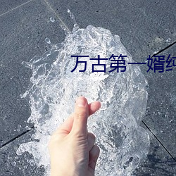 萬古第一婿純情犀利哥