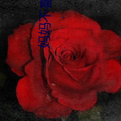 媽媽不喜歡帶套