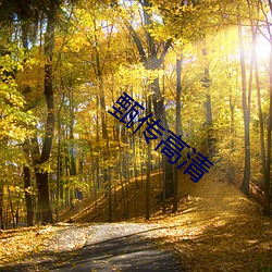 甄传高清