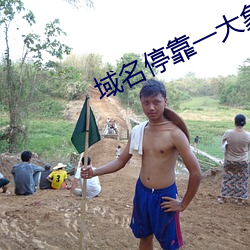 域名停靠一大象