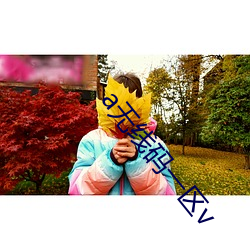 a无(wú)线码一区(qū)v