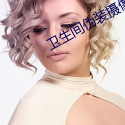 卫生间伪装摄像头