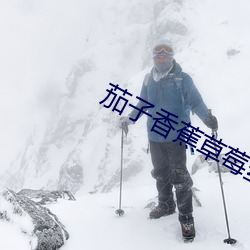 茄子(zi)香蕉草(cǎo)莓(méi)丝瓜芭乐绿巨