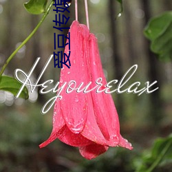 爱豆传媒ID5240