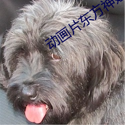 動畫片東方神娃高清圖片