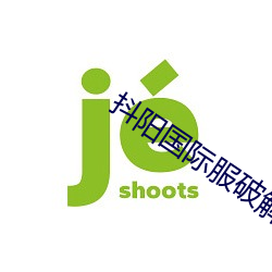 抖阳国际服破解版 （网络计算机）