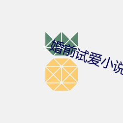 婚前試愛小說