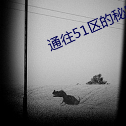 通往51區的秘密通道