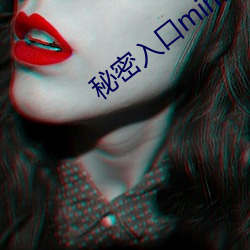 秘密入口mini21