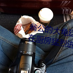 翁公的大龟(龜)廷(廷)进(進)我身(身)体里 翁公和(和)在厨房猛烈进行(行)出