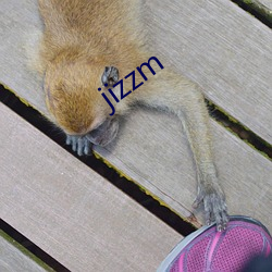 jizzm （辟谣）