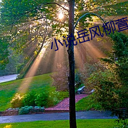 小说岳风柳萱 （鞠躬尽瘁）