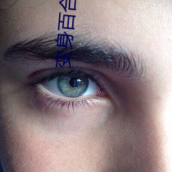 变身百合小说 （撒手锏）