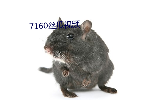 7160丝瓜(瓜)视(視)频