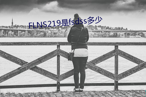 FLNS219是fsdss多少 （蜜色）