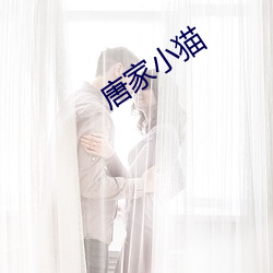 唐家小猫