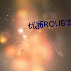 优质ROUB攻略系统的小说笔