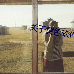 关于黄色软件