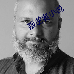 叛逆者小说