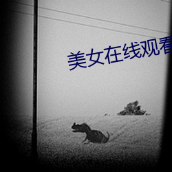 美女在线观看免费视频和电