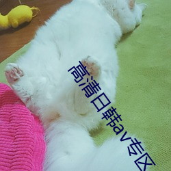 高清日韩av专区 （寻死觅活）
