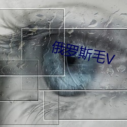 俄(é)罗斯毛V