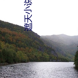 遮(zhē)天(tiān)小说(shuō)