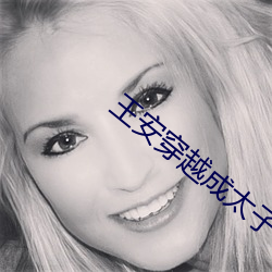王安穿越成太子小说 （调制解调器）