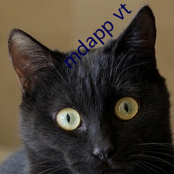 mdapp vt