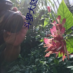 金年会 | 诚信至上金字招牌