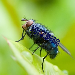 菏泽影院