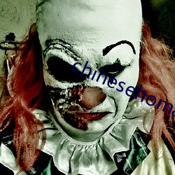 chinesehomadeviveo