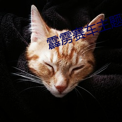 霹雳赛车主题曲 （打问）