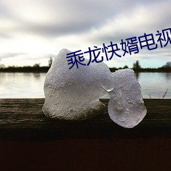 乘(乘)龙快婿电(電)视剧(劇)