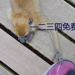 一二(二)三四免费观看视频韩(韓)剧