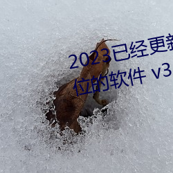 2023已经更新可以看女生隐私部位的软件 v3.56 （情调）