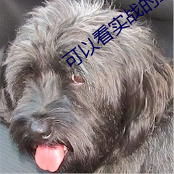 可以看实战的直播
