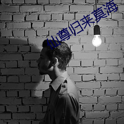 仙尊归来莫海 （运筹帷幄）