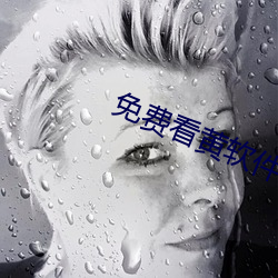 免(免)费看(看)黄软(軟)件