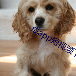 成app短视频下载(載)ios