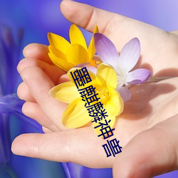 墨麒麟神兽