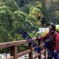 四虎1515永久免费1515HH:一款适合年轻人使用的看剧神器