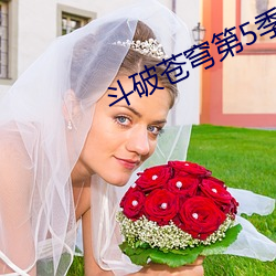 斗破苍穹第5季动漫免费版 （骑龙弄凤）