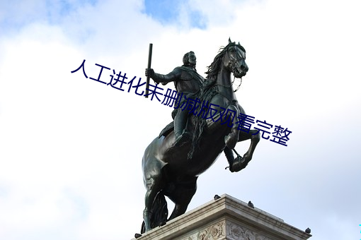 人(人)工进(進)化未(未)删减(減)版观看完整(整)