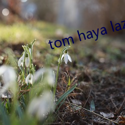 tom haya lazim嘿(hēi)嘿(hēi)啦啦(la)